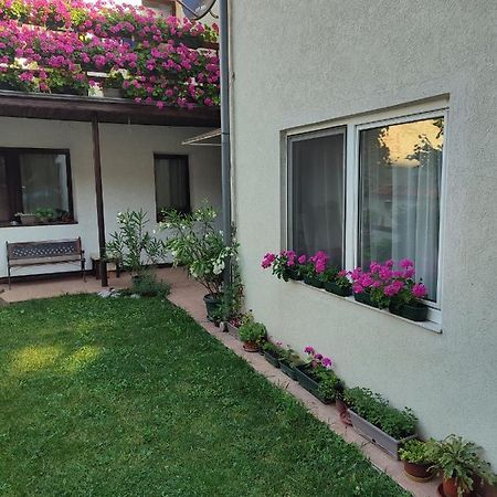 Apartman Mitic Požarevac المظهر الخارجي الصورة