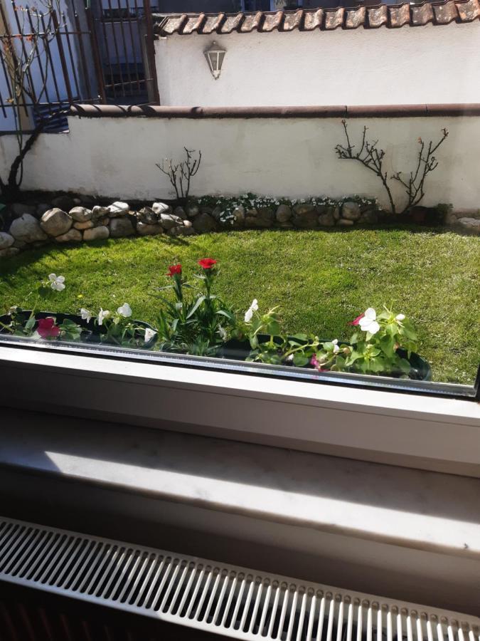 Apartman Mitic Požarevac المظهر الخارجي الصورة